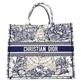 Dior Tawadjuie Bestickter North Tote Bag Large