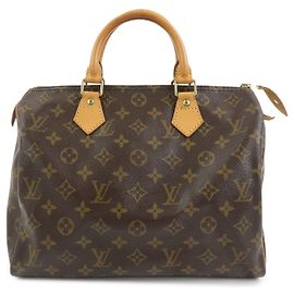 Louis Vuitton Speedy Monogram Canvas 30