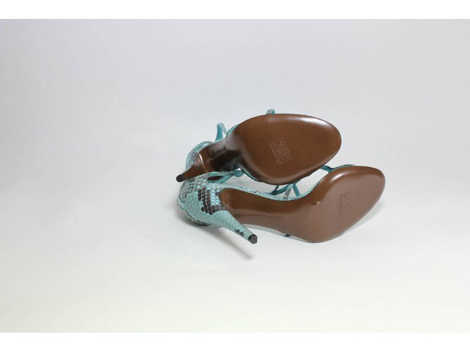 Walter Steiger Python Sandalen Türkisblau - Ansicht 5