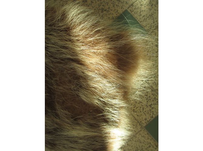Autre Marque Chaqueta de piel de marmota beige Talla 40 - vista 5