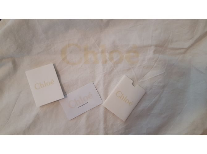 Borsa a mano Chloé Elsie in pelle nera Nero - vista 6