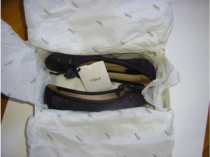 Chloé Ballerine in Velluto Viola e Pelle Porpora - vista 4