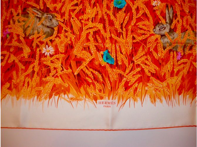 Hermès Lenços de seda Multicor - vista 11