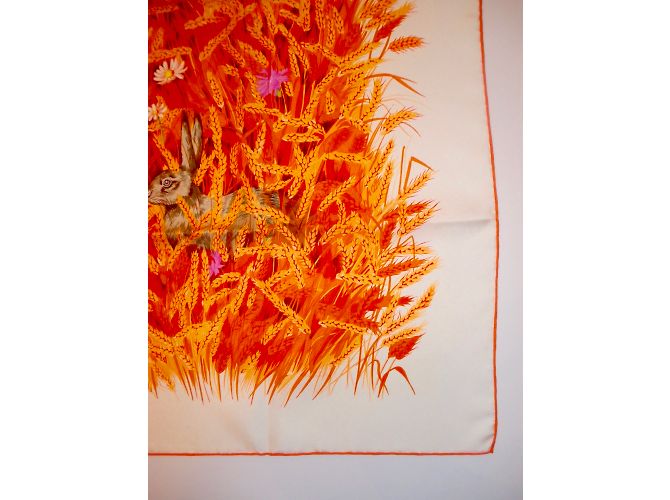 Hermès Lenços de seda Multicor - vista 12