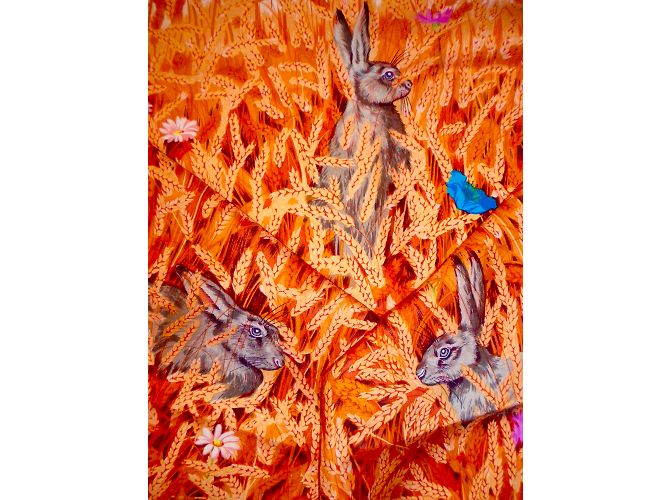Hermès Lenços de seda Multicor - vista 13