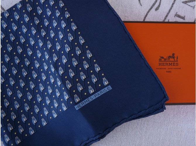Hermès Lenços de seda Azul - vista 4