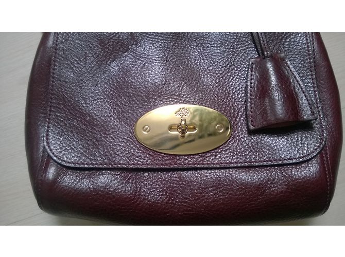 Mulberry Lily - view 4