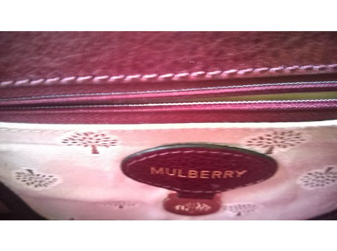 Mulberry Lily - view 6