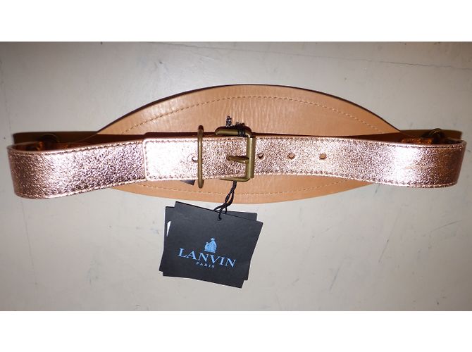 Lanvin Breiter Ledergürtel in Rosa Metallic Metallisch - Ansicht 11