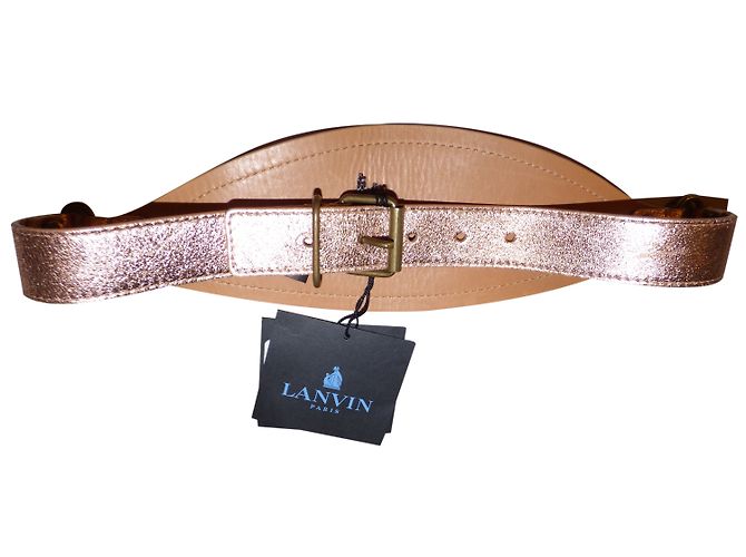 Lanvin Breiter Ledergürtel in Rosa Metallic Metallisch - Ansicht 3
