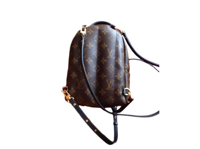Louis Vuitton Palm Springs mini Marrom - vista 2