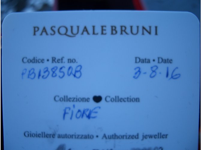 Pasquale Bruni PRATO FIORITO - vista 10