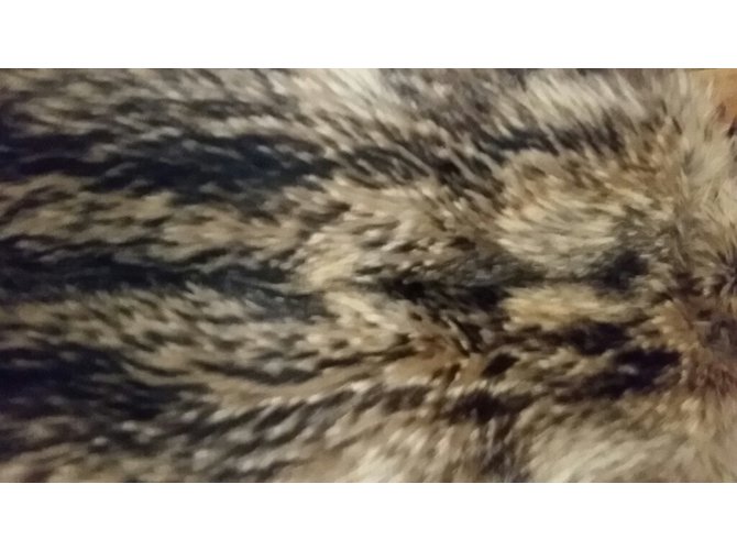 Sam Rone Chaleco de piel sin mangas Beige - vista 3