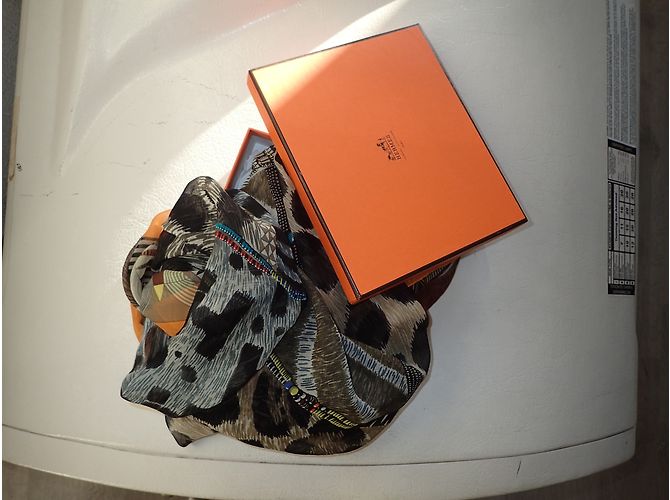 Hermès Lenços Marrom Estampa de leopardo Estampa de zebra - vista 12