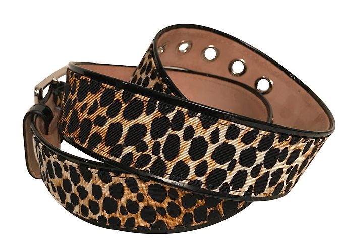D&G Belt - view 2
