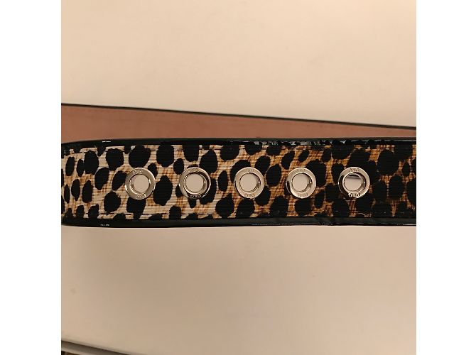 D&G Belt - view 5