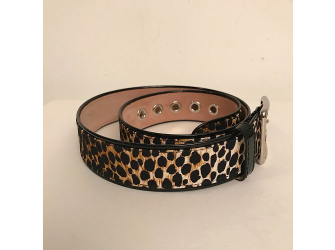 D&G Belt - view 6