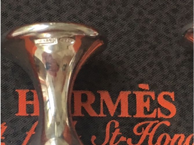 Hermès Gemelos Plata - vista 5
