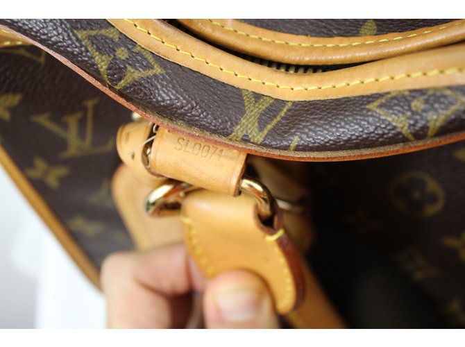 Louis Vuitton Pet Carrier Marrone scuro - vista 4