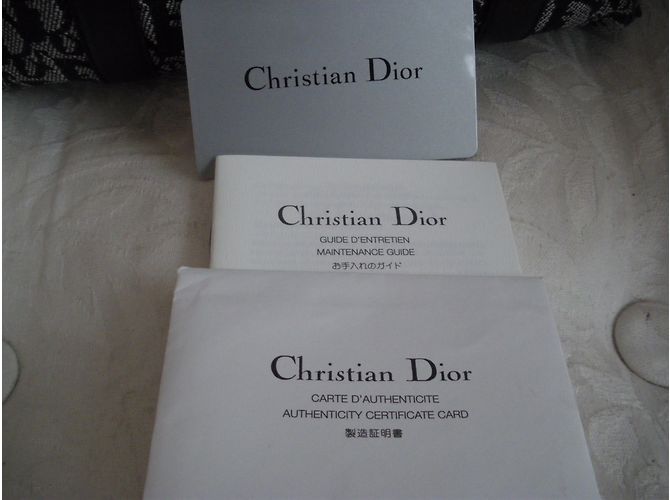 Dior Borse - vista 8