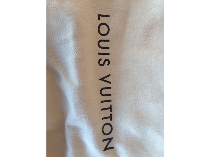 Borsa Louis Vuitton Speedy Golden Arrow Marrone - vista 4