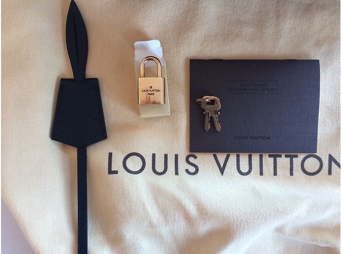 Borsa Louis Vuitton Speedy Golden Arrow Marrone - vista 6