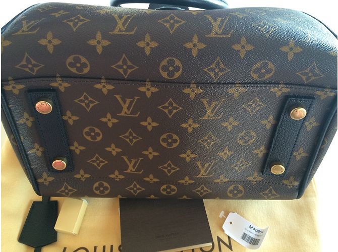 Borsa Louis Vuitton Speedy Golden Arrow Marrone - vista 7