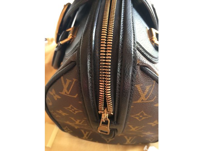 Borsa Louis Vuitton Speedy Golden Arrow Marrone - vista 8