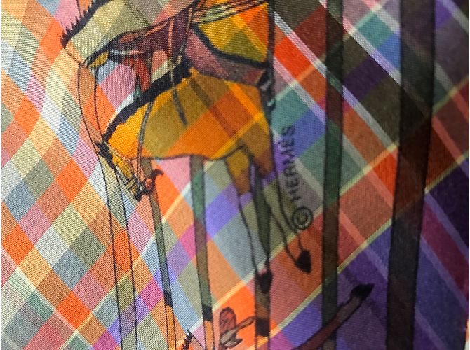 Hermès PANI LA SHAR PAWNEE Multicolor - vista 5