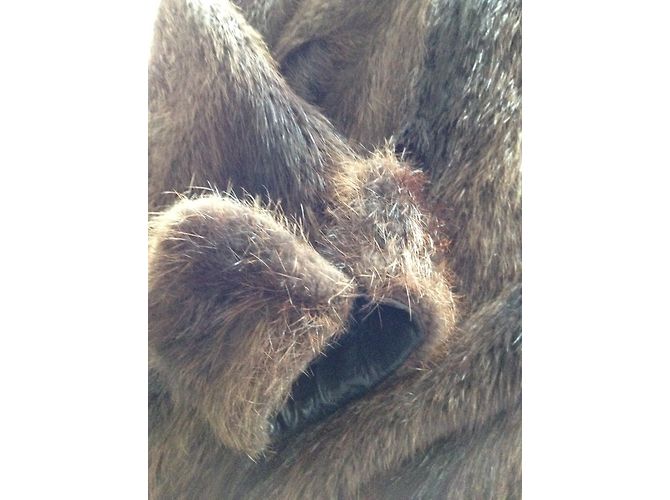 Autre Marque Bruno Gainville Marmottenpelz Jacke Braun - Ansicht 3