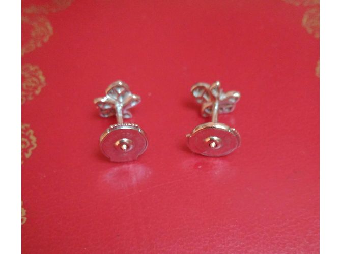 Cartier caresse d'orchidees - vista 4