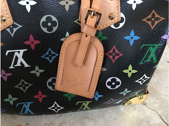 Speedy Louis Vuitton Veloce Takashi Murakami Multicolore - vista 4