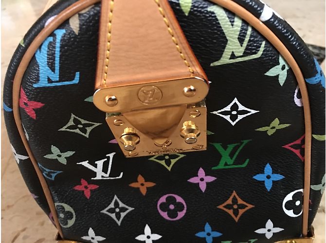 Speedy Louis Vuitton Veloce Takashi Murakami Multicolore - vista 5