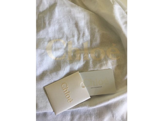 Chloé Bolsas - vista 4