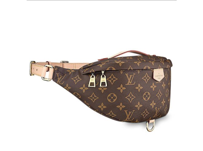Bumbag Louis Vuitton Gürteltasche Braun Beige - Ansicht 3