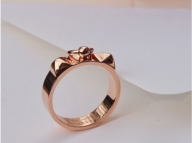 Hermès Collier de Chien Ring - vista 5