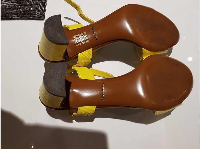 Dolce & Gabbana sandali in pelle di coccodrillo con conchiglie - vista 6