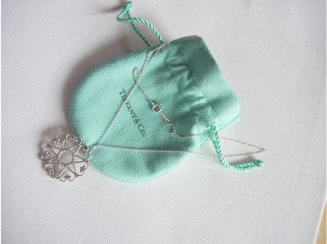 Tiffany & Co Goldoni di Paloma Picasso Argento - vista 6