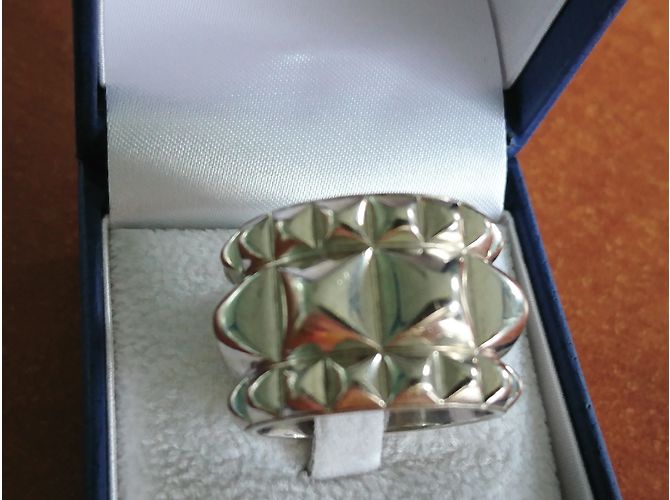 Hermès Espionne Plata - vista 2