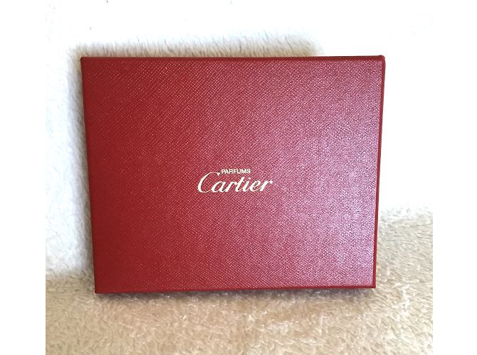 Cartier Regali VIP - vista 5
