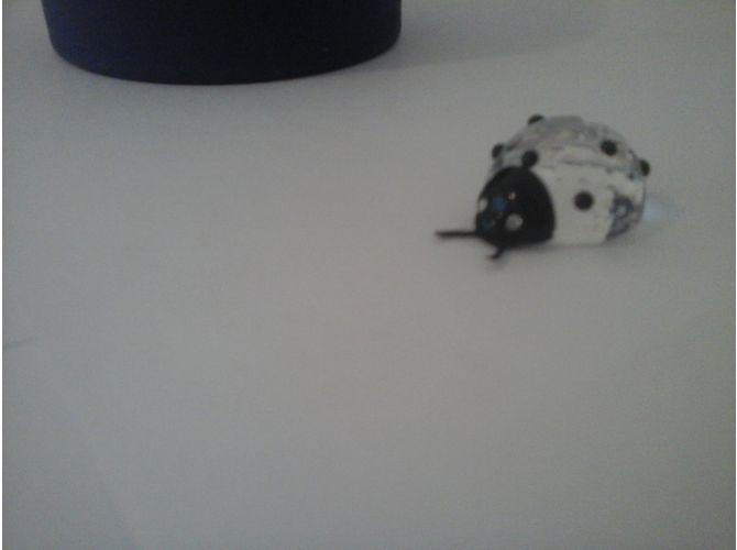 Figurine Coccinelle en Cristal Swarovski - vue 3