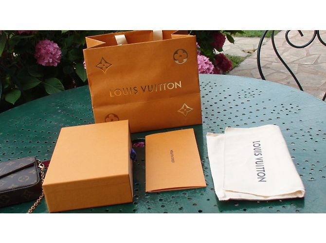 Louis Vuitton Felicie Castaño - vista 7