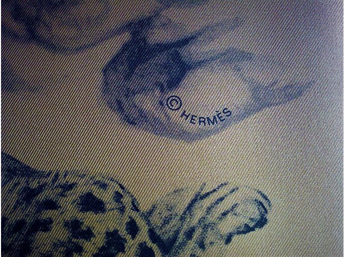 Hermès Bufandas de seda Castaño - vista 3