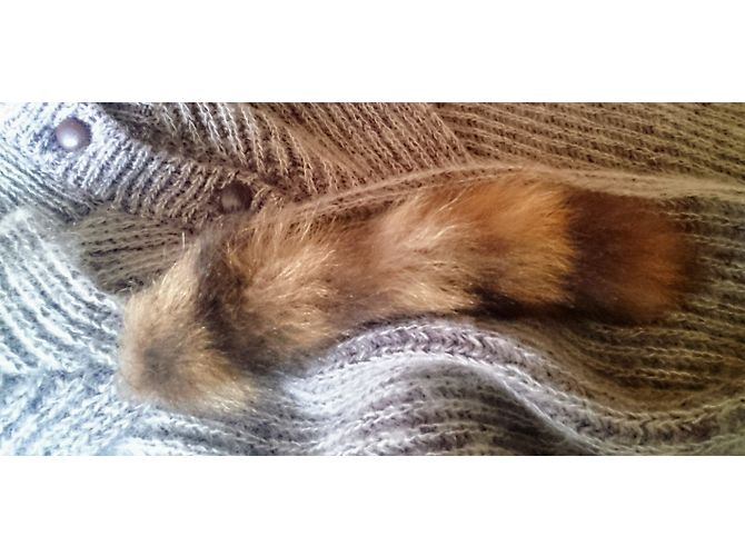 Autre Marque Chaqueta PELLINI de mohair gris - vista 6