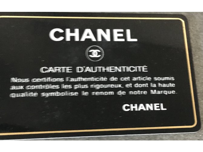Deauville Chanel Sacolas Cinza antracite - vista 10