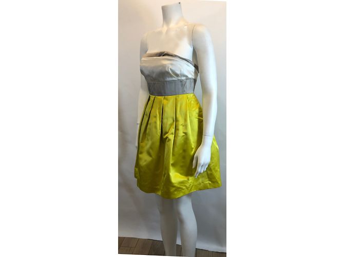 Tara Jarmon Trägerloses Kleid Grau Gelb Seide - Ansicht 3