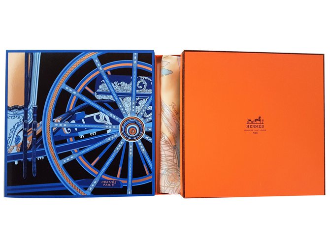 Hermès Bufandas de seda Multicolor - vista 7
