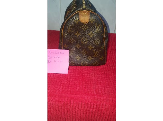Borsa a mano Louis Vuitton Speedy Marrone in tela - vista 11