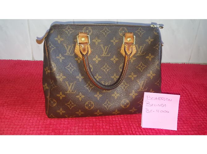 Borsa a mano Louis Vuitton Speedy Marrone in tela - vista 12