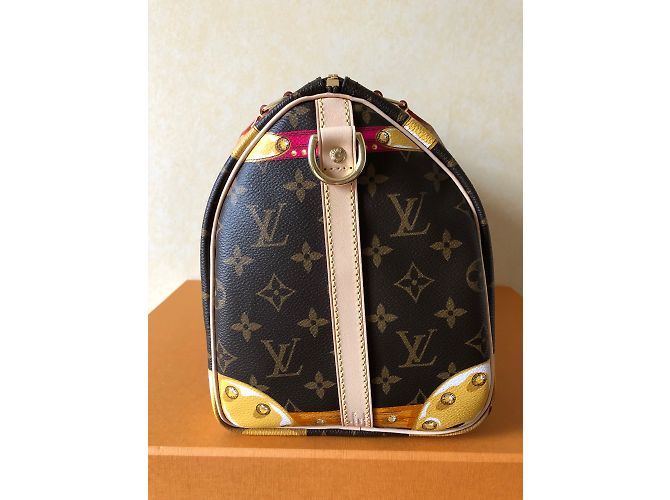 Speedy Louis Vuitton Correa de hombro rápida 30 Multicolor - vista 3